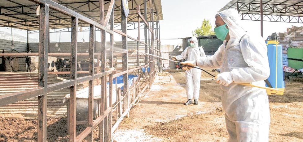 Изображение новости